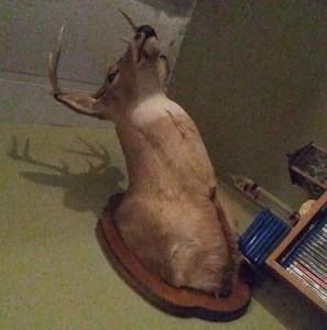 Meet your Posher, Robbie